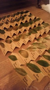 Louise place cards
